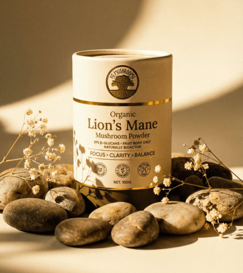 Organic Lion’s Mane Mushroom Powder