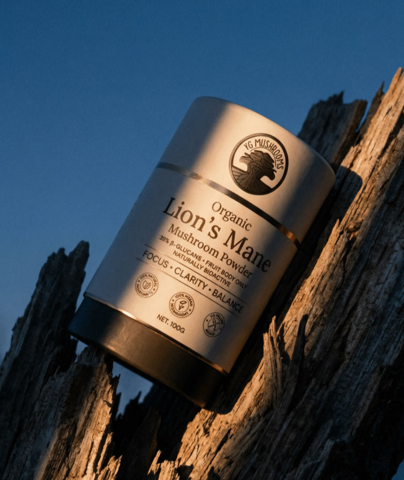 Organic Lion’s Mane Mushroom Powder