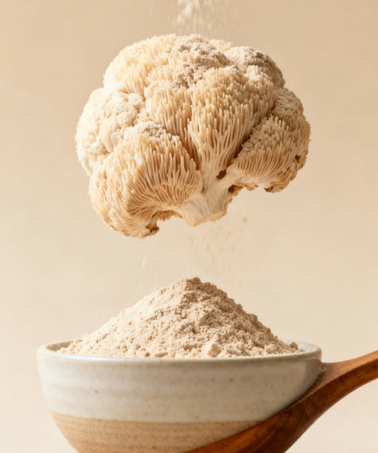 Organic Lion’s Mane Mushroom Powder