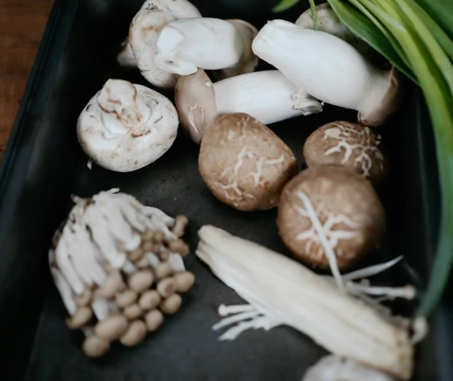 Load video: More Mushroom Inspiration