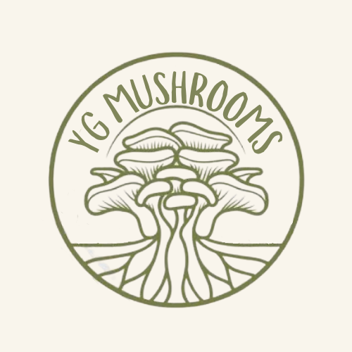 YGMUSHROOMS