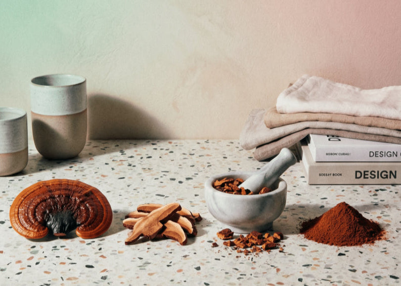 reishi mushroom on a textured surface with books and cups in the background.